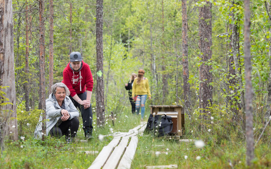 Vastaa kyselyyn viheralueiden ja vesistöjen virkistyskäytöstä Pirkkalassa