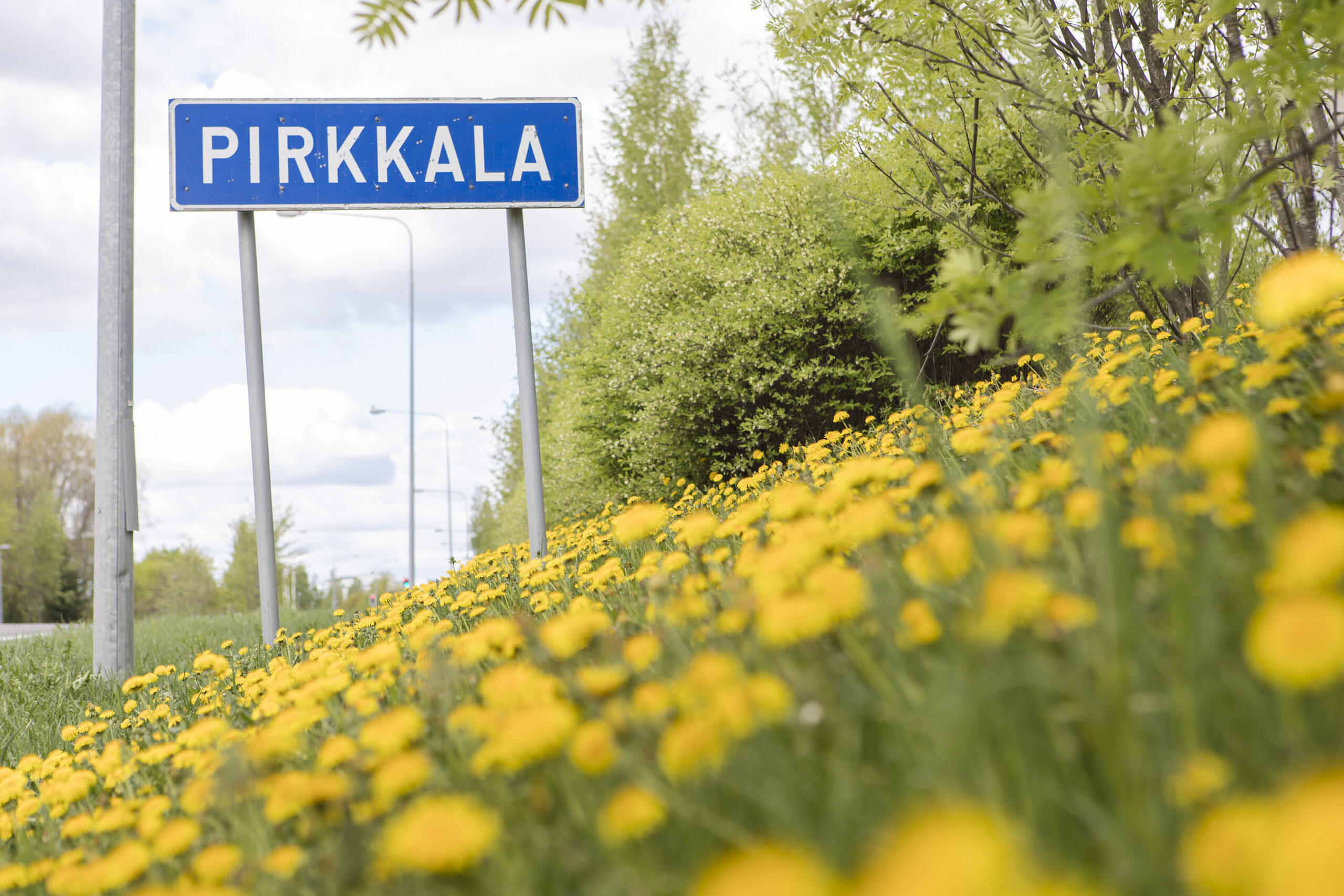 Pirkkala-kyltti ja kukkia